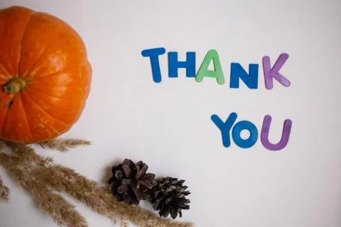 Top view pine cones, pumpkin and Thank you inscription. Fall background for t Stock Photos