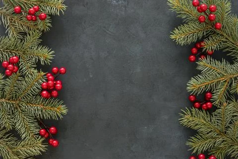 Top view pine needles mistletoe. High quality and resolution beautiful photo Stock Photos