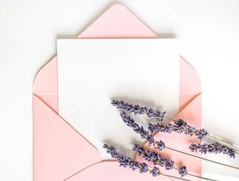Top view pink envelope with copy space and lavender Stock Photos