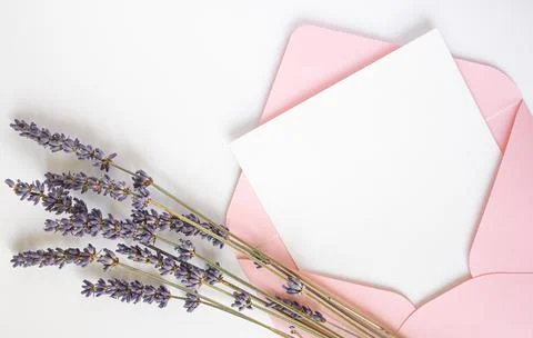 Top view pink envelope with copy space and lavender Stock Photos