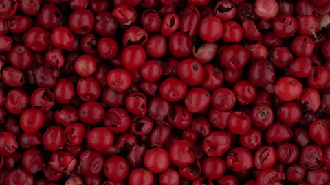 Top view of pink peppercorns rotating. Closeup. Macro. Vídeo Stock 170442930