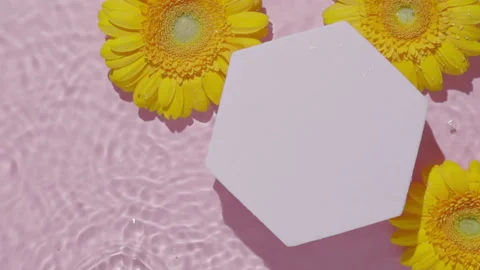 Top view of pink transparent clear calm water surface and yellow flowers.  Stock Footage 164228610