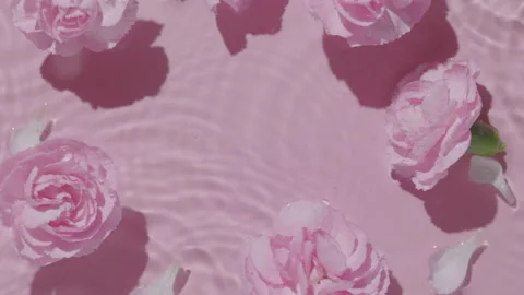 Top view of pink transparent clear calm water surface. Texture with splashes Stock Footage 164229824