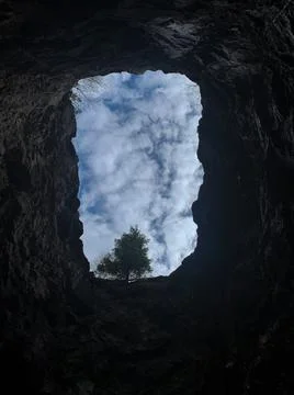 Top view from the pit, with dark earthen walls, a growing tree and sky can be Stock Photos