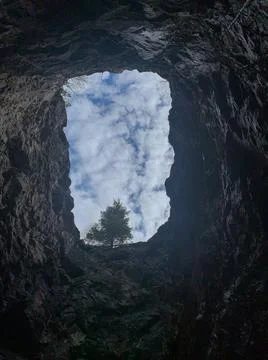 Top view from the pit, with dark earthen walls, a growing tree and sky can be Foto stock