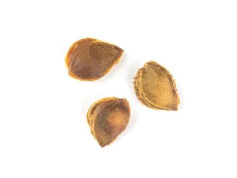 Top view of pits from apricot isolate on white. Apricot kernels. Plum pits. S Stock Photos