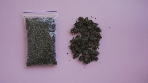 Top view plastic bag with hemp and female put a joint near on pink background Stock Footage 112305157