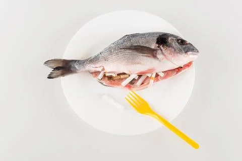 Top view plastic fork fish Stock Photos