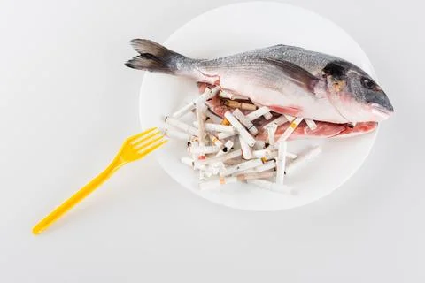 Top view plastic fork plate Stock Photos