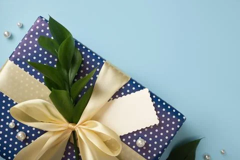 Top view of polka dot gift box tied with gold ribbon, green branch, and blank Stock Photos