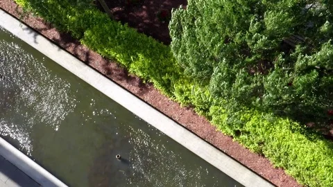 Top view of pond and trees swinging during strong wind storm Stock Footage 76058411