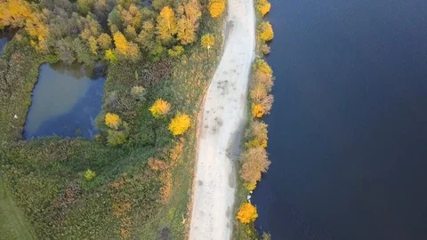 Top view of the pond in the forest. Video. Natural plot of land with lake, trees Stock Footage 89486268