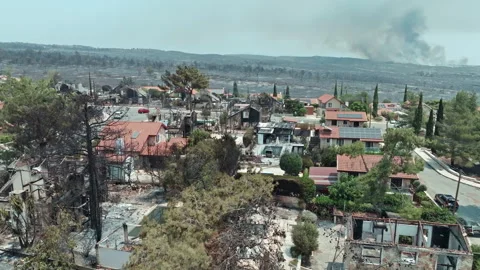 Top view of post wildfire urban area showing burnt houses Stock Footage 315291324