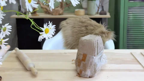 Top view of a pottery workshop table with a slab of clay ready to be shaped. Nat Video stock 313068641