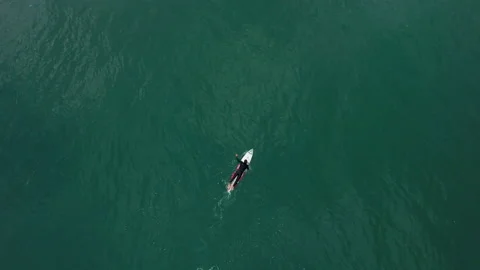 Top view of professional surfer sitting on surfboard and floating on calm ocean Video stock 156041761