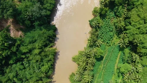 Top view on Progo river and lush tropical vegetation on Java, Indonesia Video stock 149016811