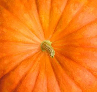 Top view of pumpkin Stock Photos