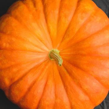 Top view of pumpkin Stock Photos
