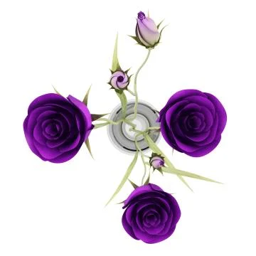 Top view of purple eustoma flowers in glass vase isolated on white background Stock Illustration