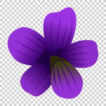 Top view of purple five petal flower isolated on checkered background. Illustration