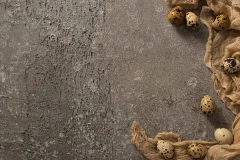 Top view quail eggs brown Stock Photos
