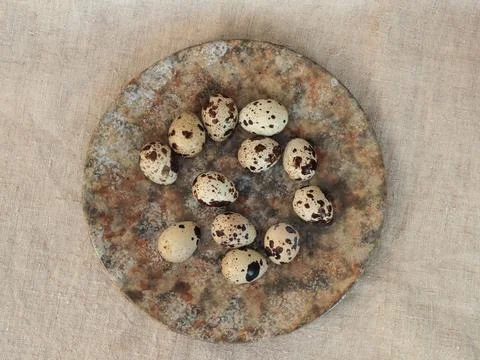 Top View of Quail Eggs on Rustic Ceramic Plate Stock-Fotos
