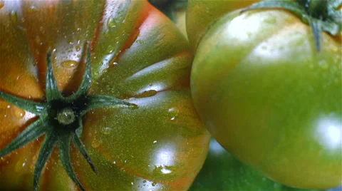 Top view of Raf Tomatoes rotating Stock Footage 62413624