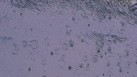 Top view of rain falling on street Stock-Footage 88256143