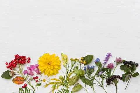 Top view on rainbow of different summer flowers and berries on white wooden b Stock Photos