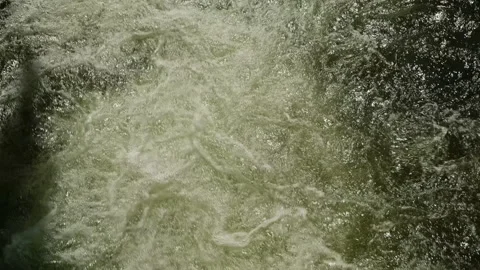 Top view of a rapidly stream of green water. Video stock 313573017