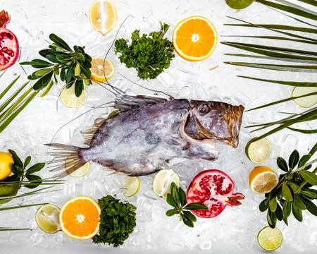 Top view of raw fish placed on ice surrounded with fruit slices Stock Photos