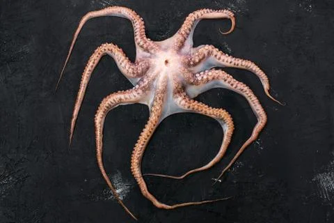 Top view of raw large octopus on black background Foto stock