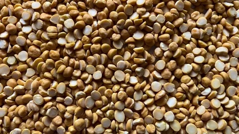 Top view of raw organic split chickpeas or Chana Dal Stockbeeldmateriaal 328441261
