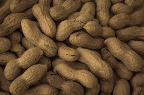 Top view of raw peanuts with shell Stock-Fotos