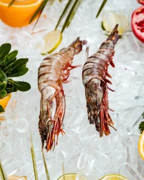 Top view of raw prawns placed on ice surrounded with fruit slices Stock Photos