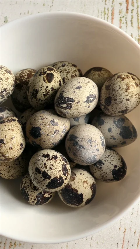 Top View of Raw Quail Eggs. Slider Shot. Top View. Vertical. Stock Footage 284835311