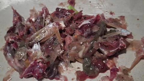 Top View of Raw Red Mullet Fish Entrails After Cleaning Stock Footage 322972452