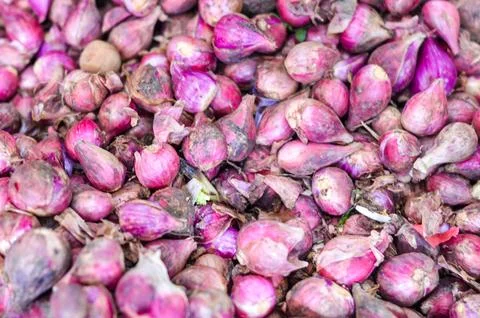 Top View of Raw Red Shallots with Dry Skin Texture, Organic Purple Onion Bu.. Stock-Fotos