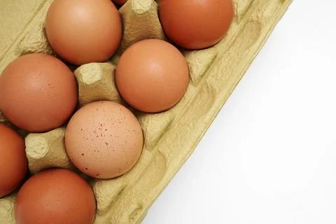 Top view of raw rustic brown eggs in a green paper box. Stock Photos