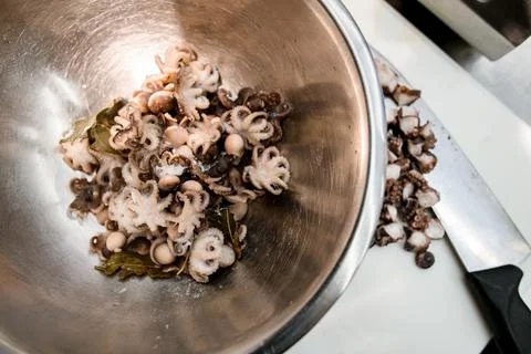 Top view on raw small octopuses in metal bowl. Foto stock