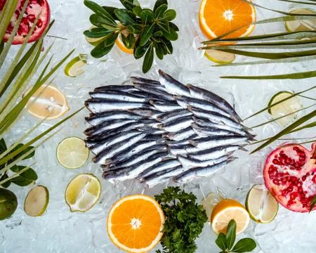Top view of raw sprats placed on ice surrounded with fruit slices Stock Photos