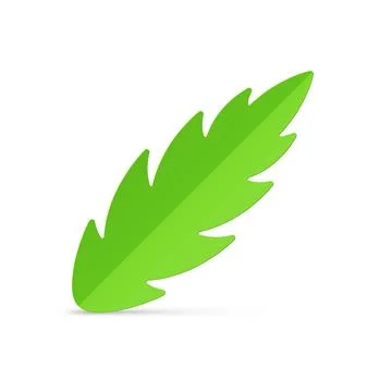 Top view realistic green leaf artificial ornamental decor for gift box or Chr Illustrazione stock