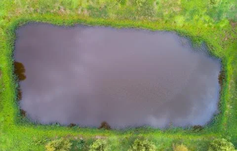 A top view of a rectangular pond. Stock Photos