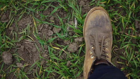 Top view of red boots walking on the grass. Stock Footage 100068576