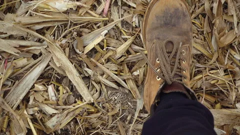 Top view of red boots walking on dry grass. Stock Footage 100069411
