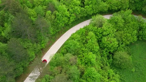 Top view of red car riding along road in green forest. Video stock 260427990