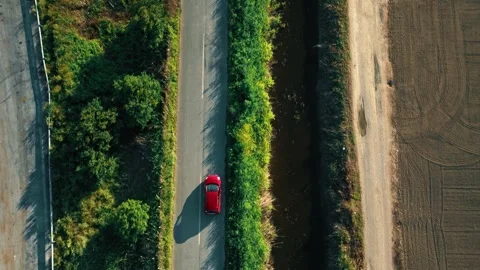 Top view of red car riding along road in green forest. Video stock 260452470