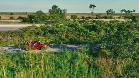 Top view of red car riding along road in green forest. Video stock 260452726