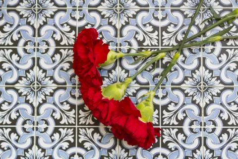 Top view of red carnations against portuguese tiles Stock Photos