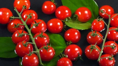 Top view of red cherry tomatoes in water Stock Footage 132746732